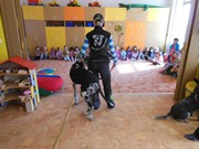 Bezpečný pes - kynologie